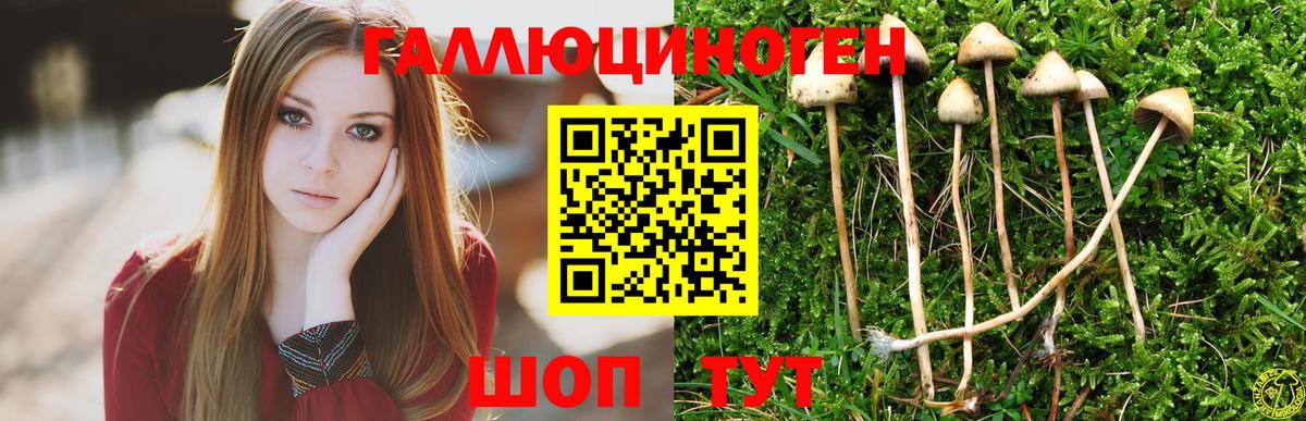 Псилоцибиновые грибы прущие грибы Джанкой